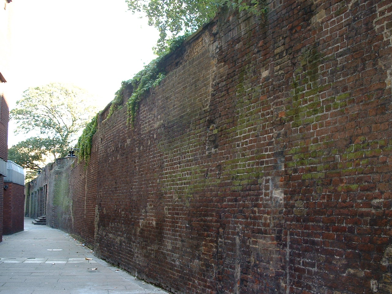 prison wall